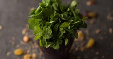 What are the Uses and Benefits of Peppermint? What are the Uses and Benefits of Peppermint?